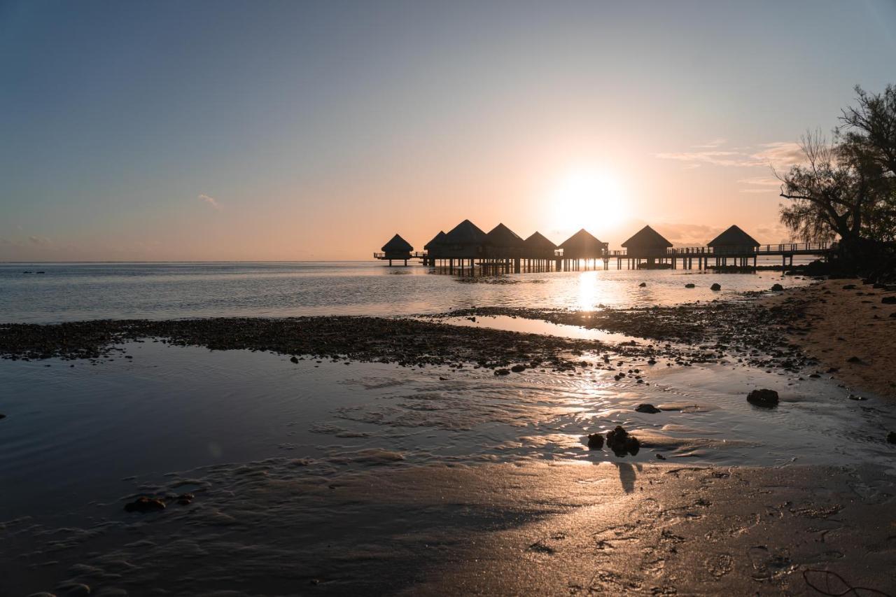 Punaauia  Douceur Tropicale Proximite Plage Et Commerces מראה חיצוני תמונה